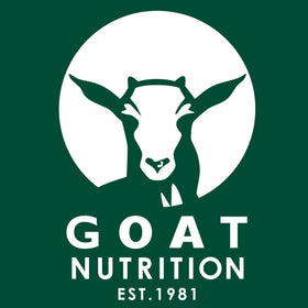 GN Ltd