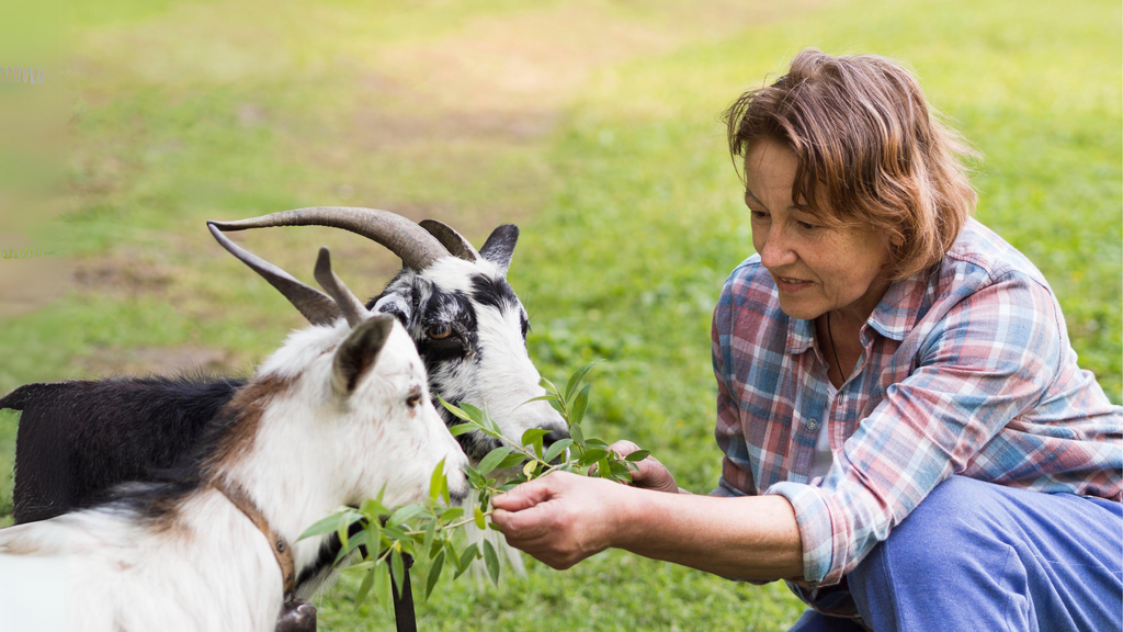 A Guide to Maintaining Good Farming Hygiene