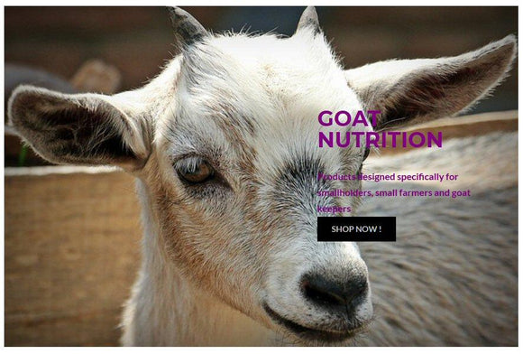 Goat Nutrition